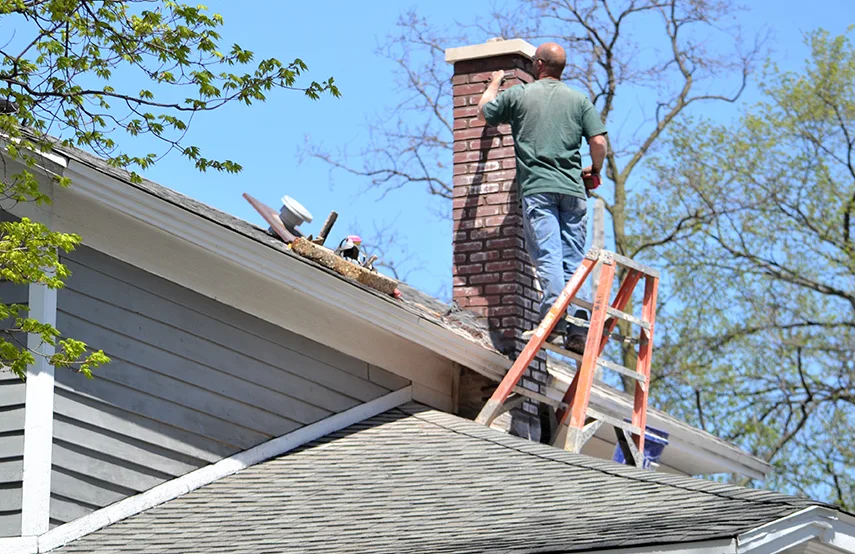 Chimney & Fireplace Inspections Services in Lino Lakes, MN